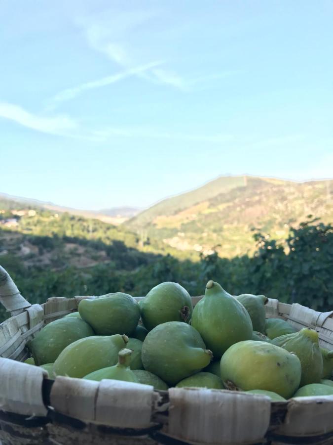 Private Douro- Quinta Das Susandas Mesão Frio Exterior foto