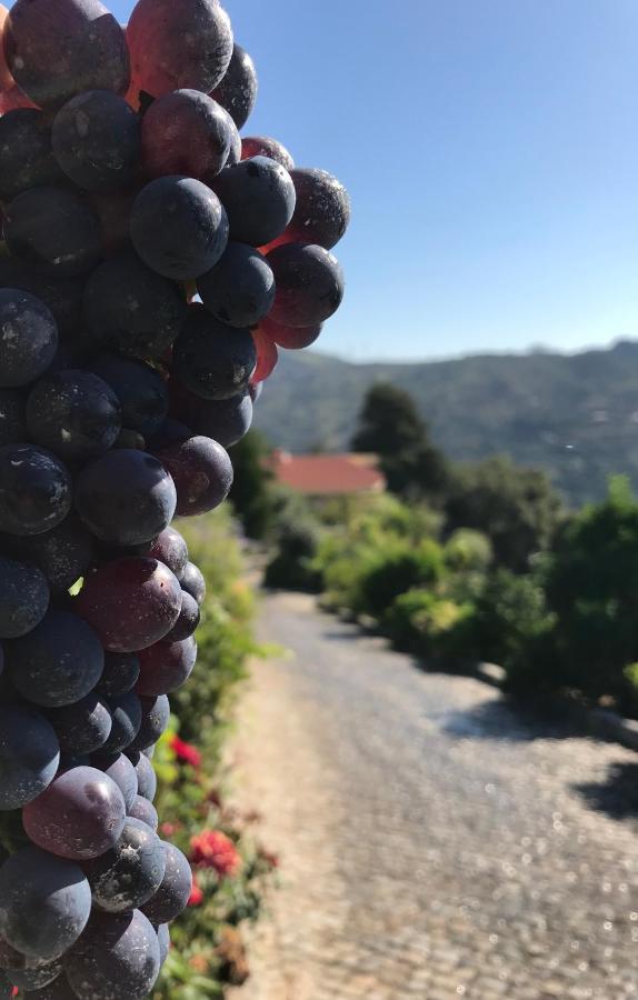 Private Douro- Quinta Das Susandas Mesão Frio Exterior foto
